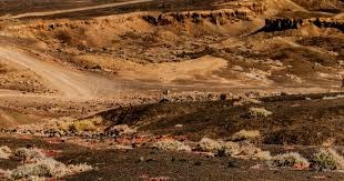 郑钦文回应黑评：我三观比较正，别人挑刺是因为一些比较自信言论