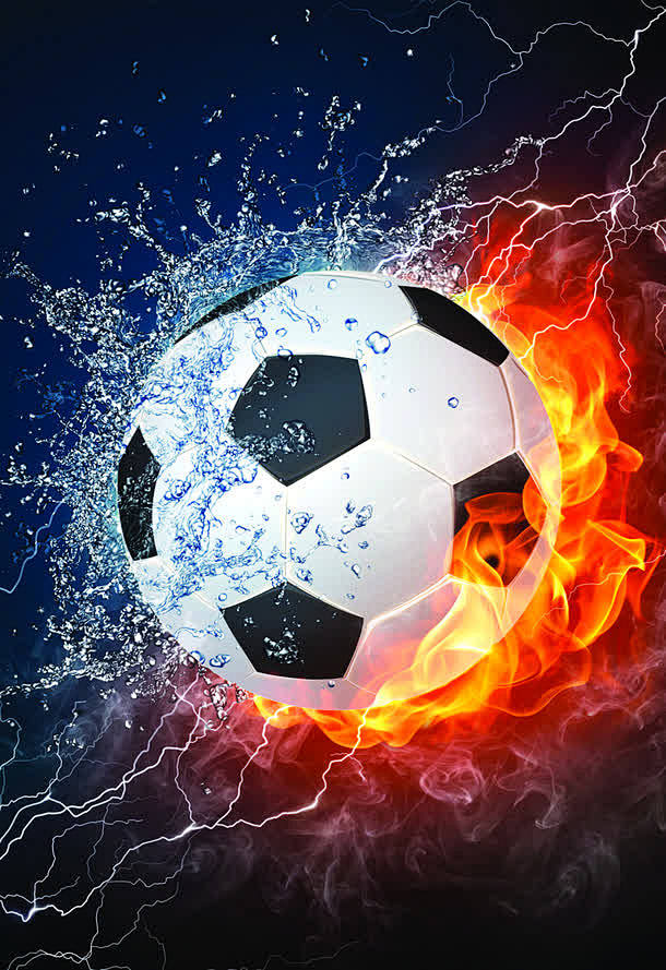 或成为森林 或成为森林