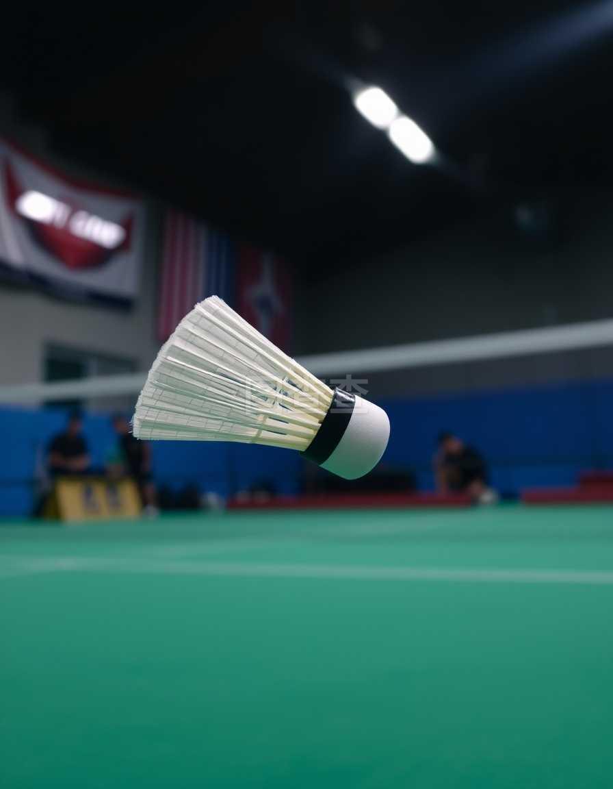 独行侠管理 独行侠管理