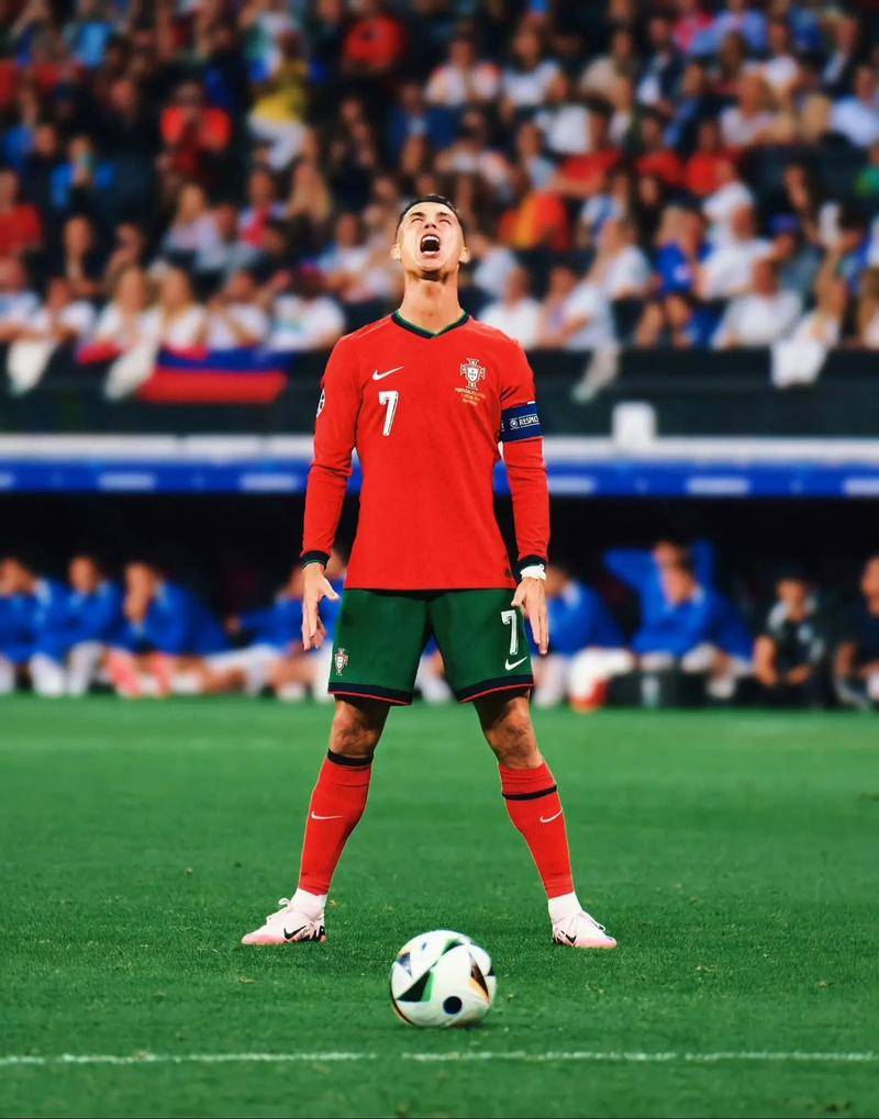 团队协作的 团队协作的